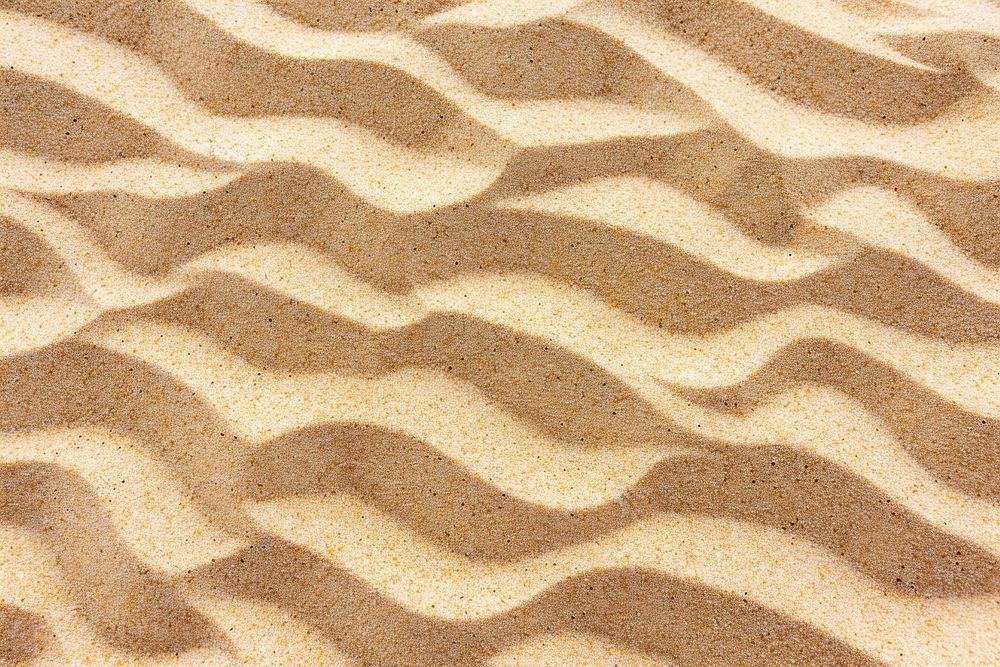 Dune Sand texture dune sand.
