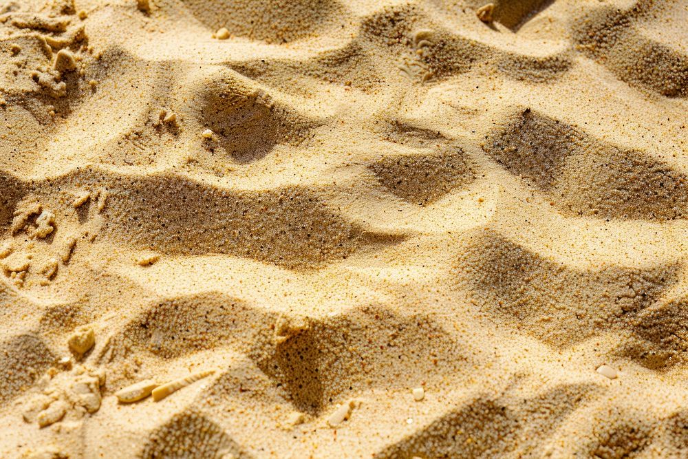 Sahara Desert Sand sand outdoors nature.