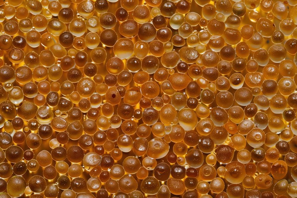 Seeded Glass chandelier honeycomb food.