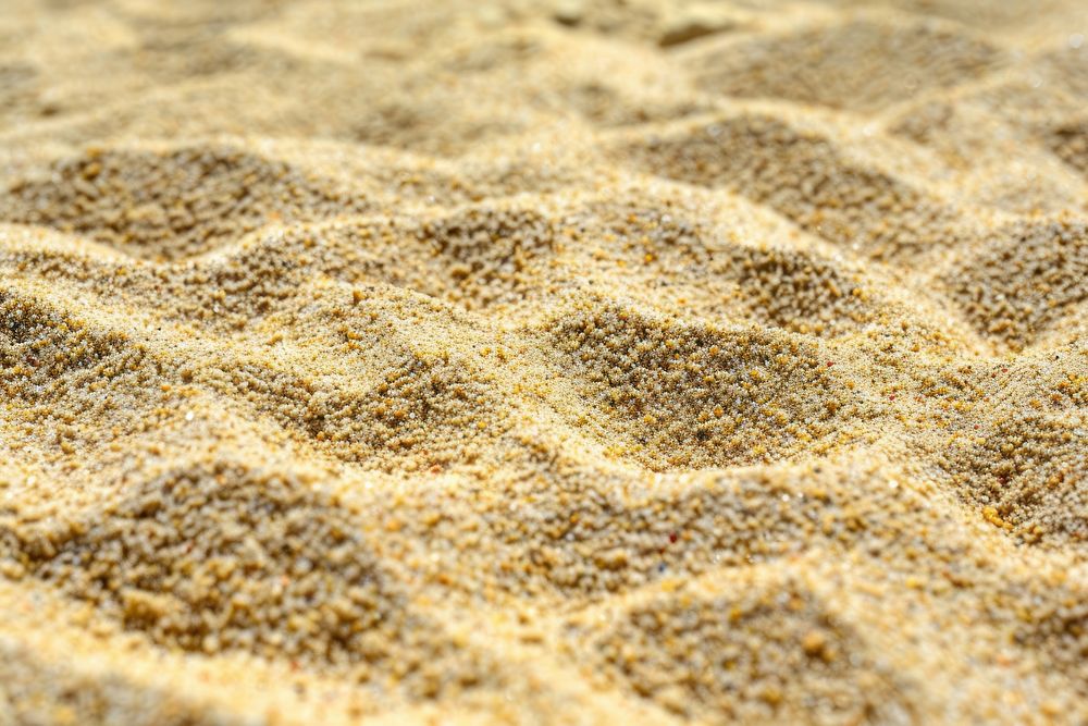 Desert Sand sand outdoors reptile.