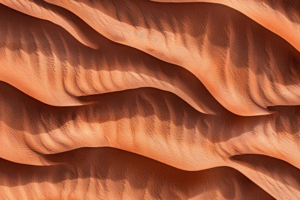 Sahara Desert Sand desert sand outdoors.