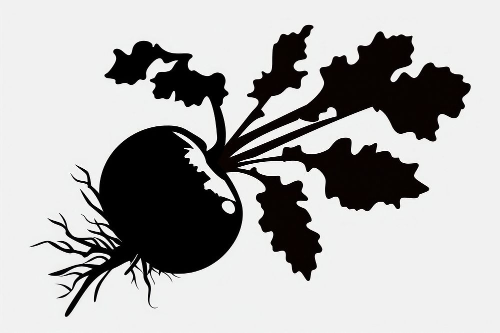 Beetroot Vegetable silhouette stencil produce.
