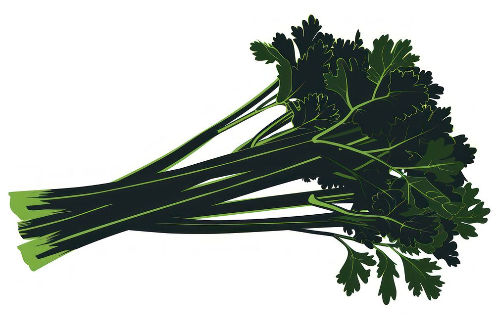 Celery Vegetable parsley herbs plant.