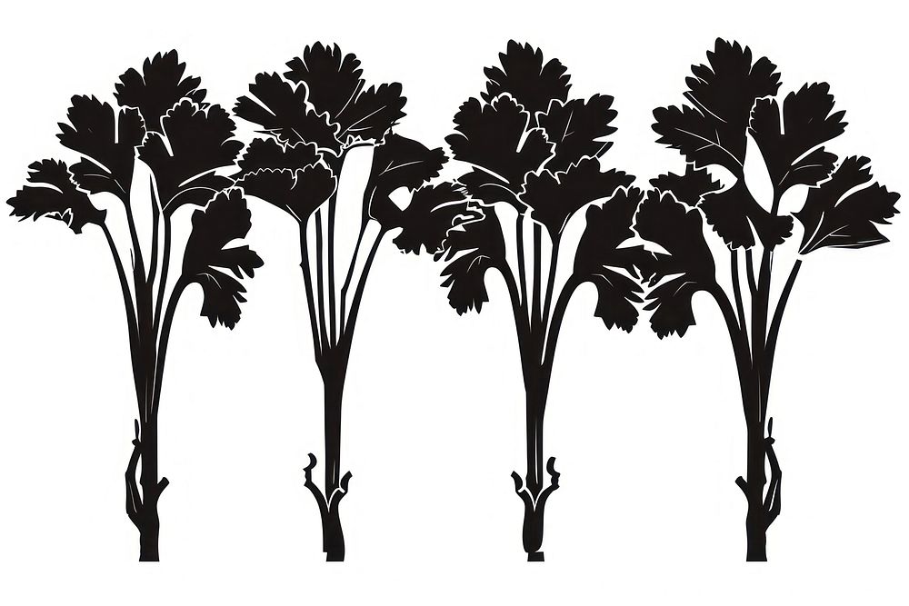 Celery Vegetable silhouette art illustrated.