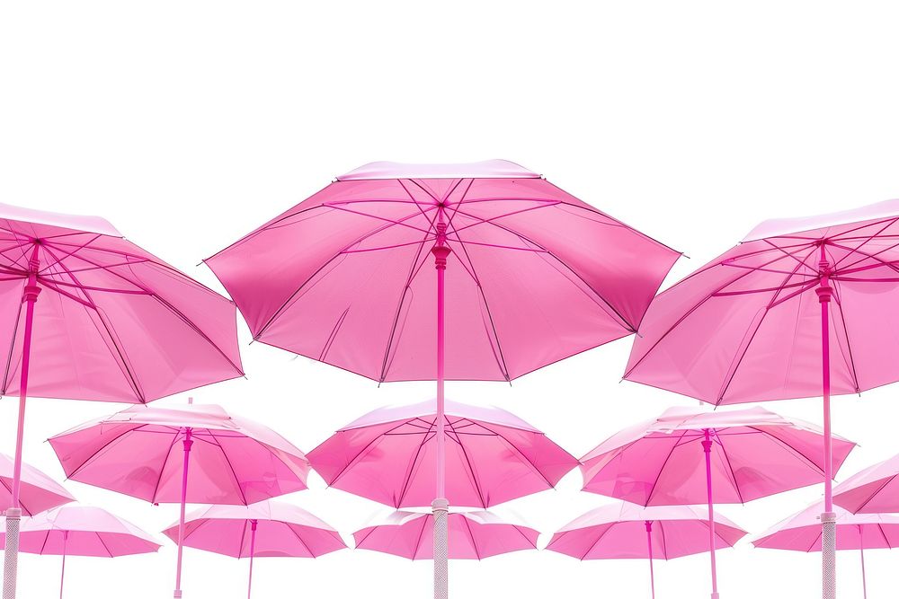 Chisinau pink market moldova umbrella canopy.