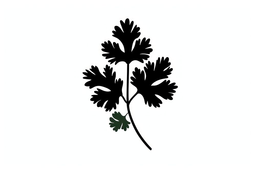 Cilantro parsley animal herbs.