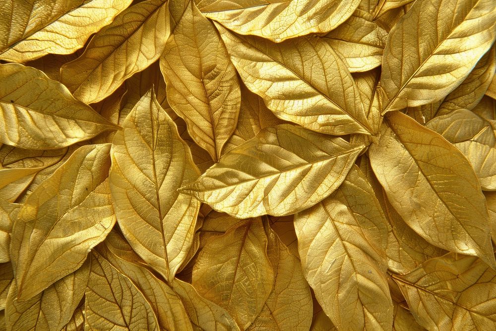 Leaf texture gold tobacco plant.