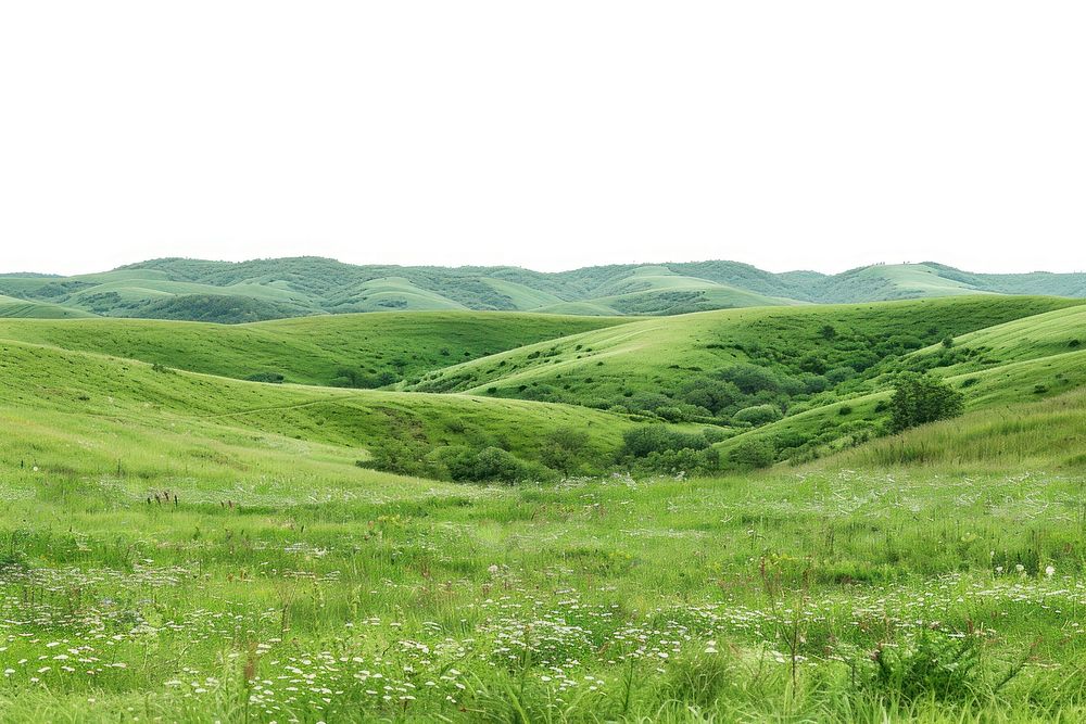 Moldova countryside grassland landscape.