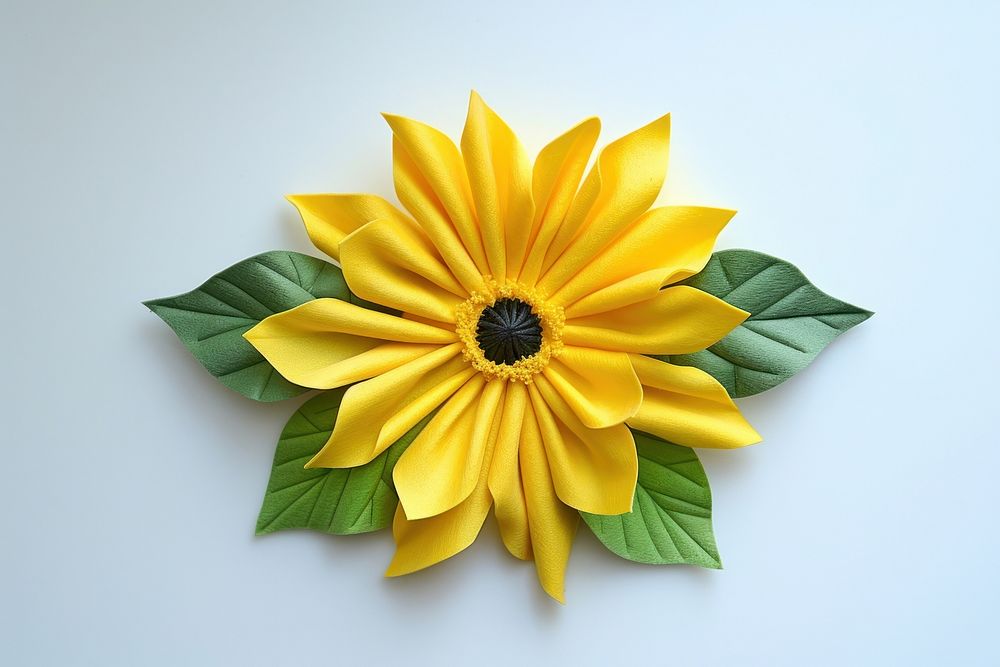 Sunflower art accessories asteraceae.