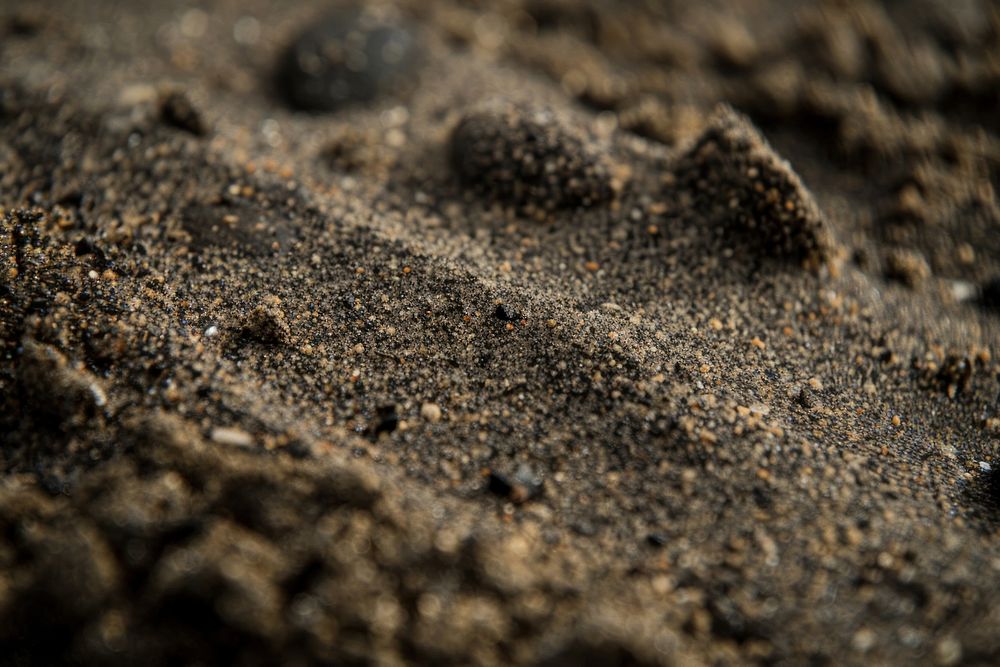 Clayey Sand Mud sand footprint outdoors.