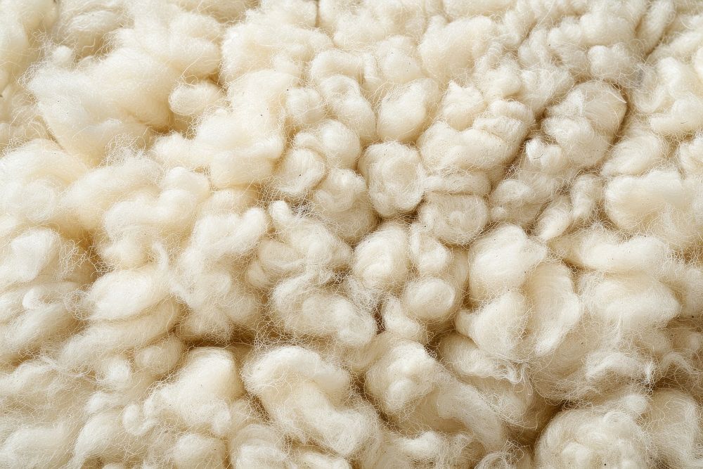Sheep Wool wool person human.