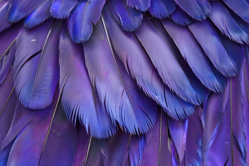 Purple-crowned Fairywren Bird Wing person human blue.
