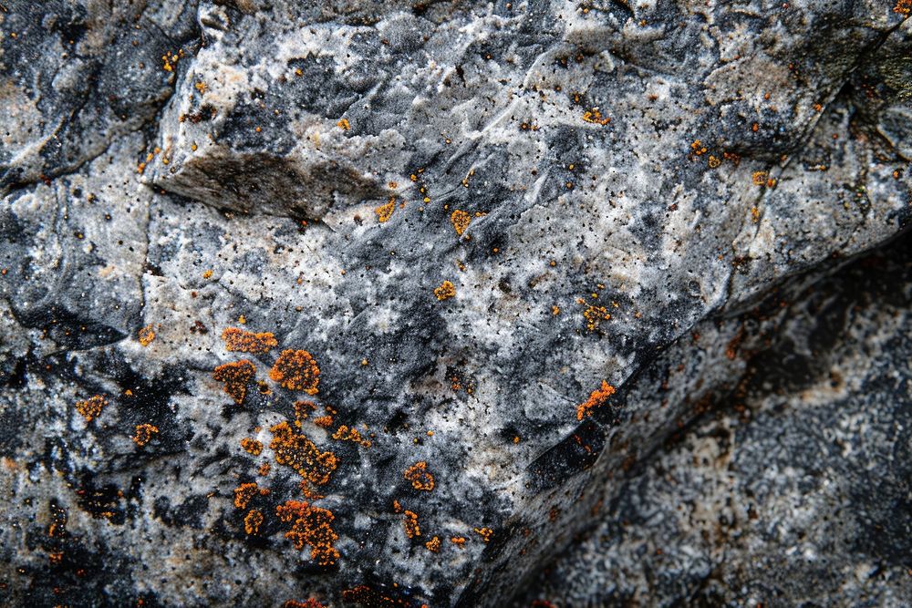 Granite texture vegetation outdoors nature.