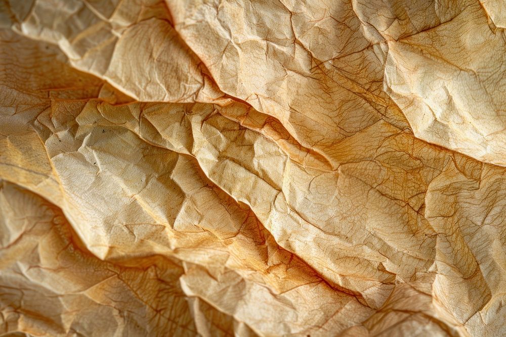 Paper texture tobacco plant leaf.