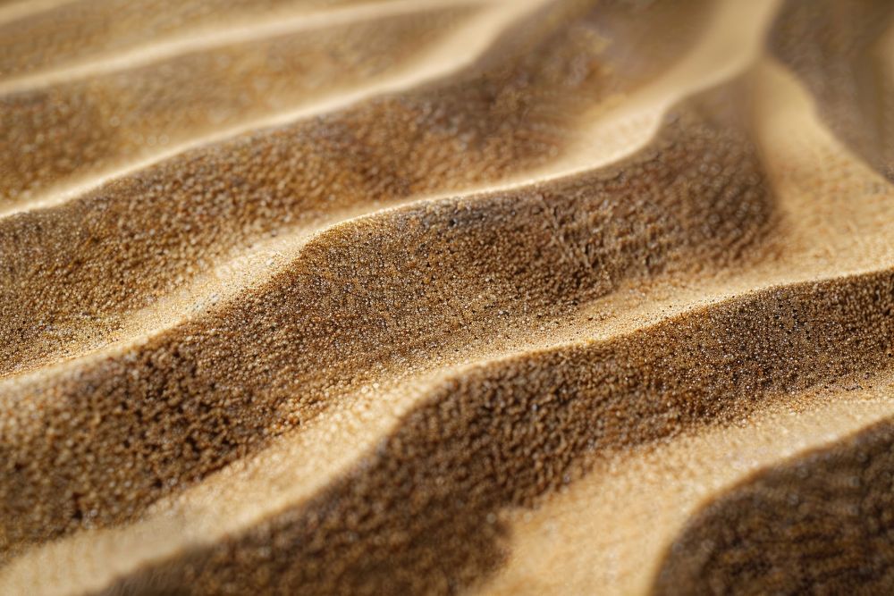 Sand texture outdoors reptile nature.