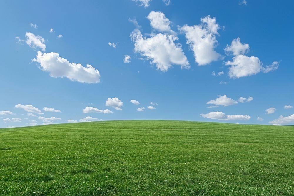 Green field with blue sky ground outdoors horizon.