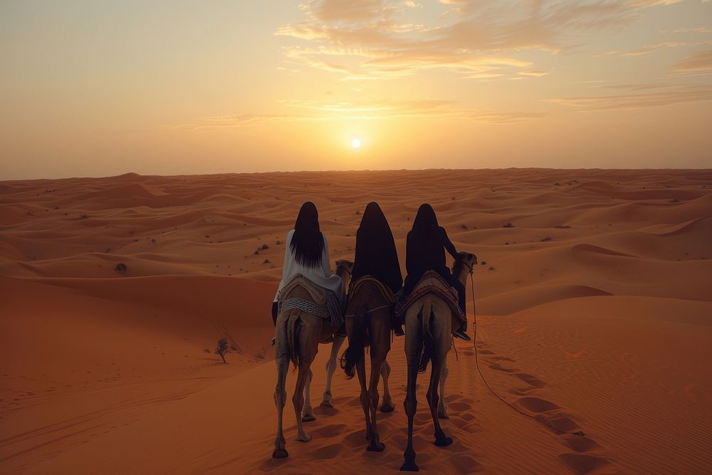 Three wise man ride a camel in desert outdoors scenery nature.