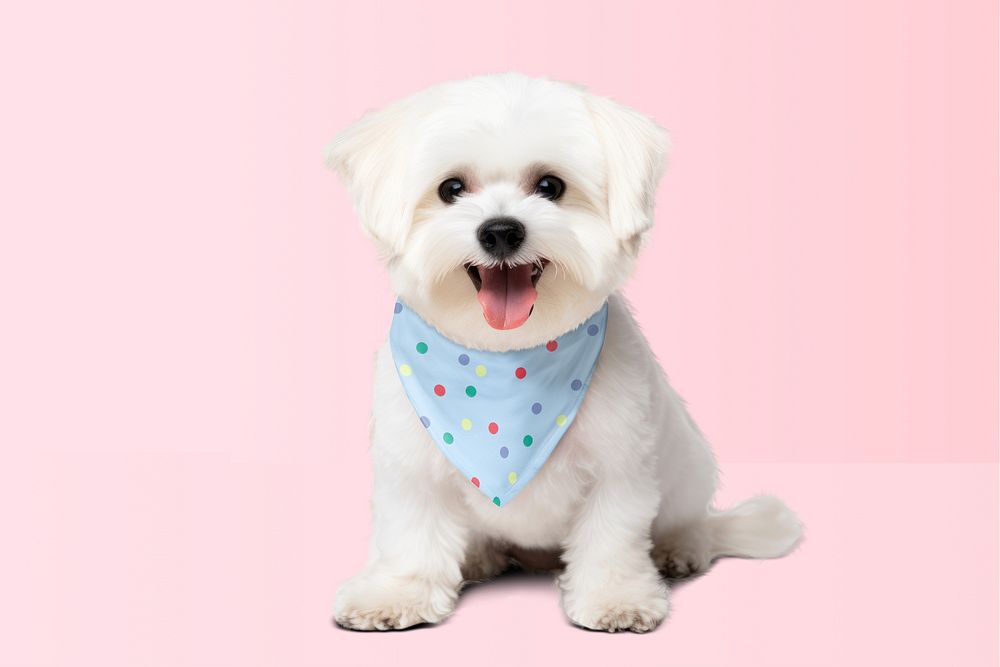 Dog's bandana mockup, pet psd