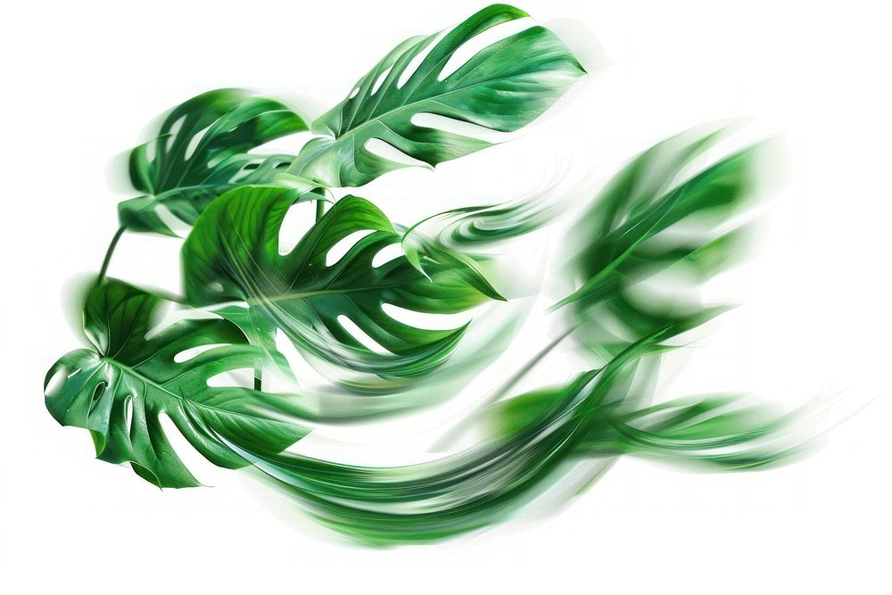 Monstera graphics herbal green.