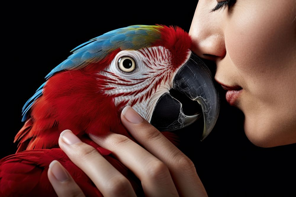 Parrot beak animal person.