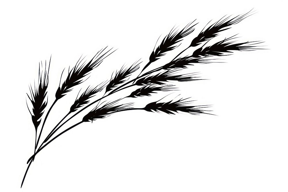 Wheat branch produce animal grain.