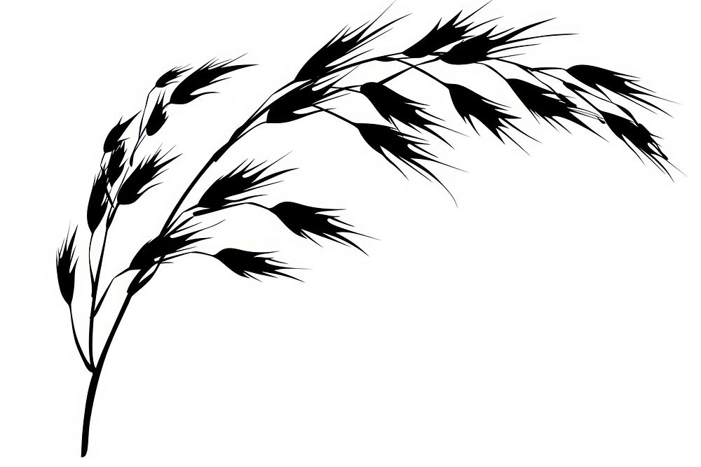 Wheat branch silhouette art produce.