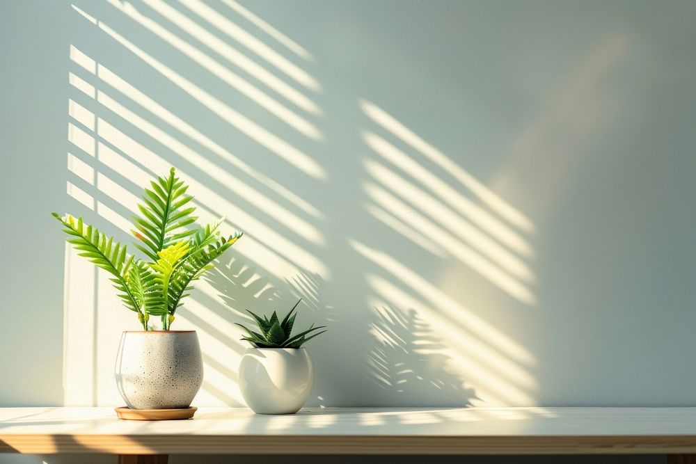 Office room windowsill plant.