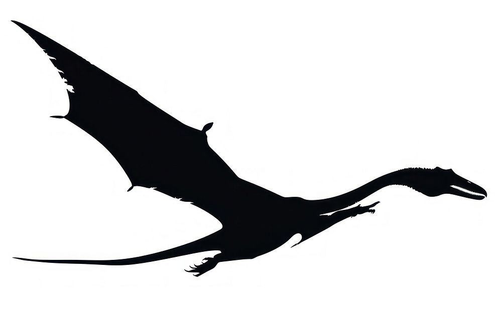 Pterodactyls silhouette stencil animal.