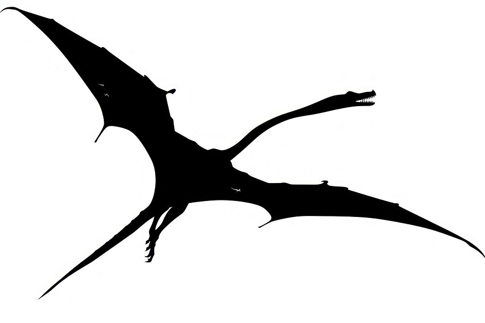 Pterodactyls silhouette swordfish weaponry.