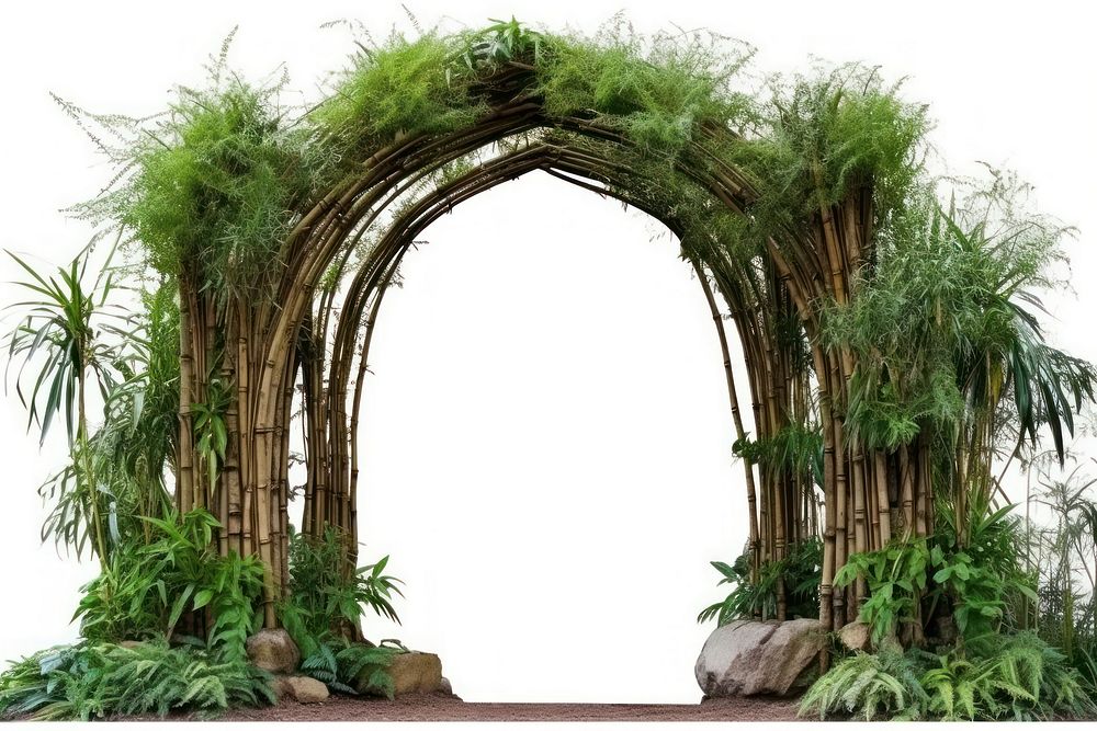 Arch architecture vegetation outdoors.