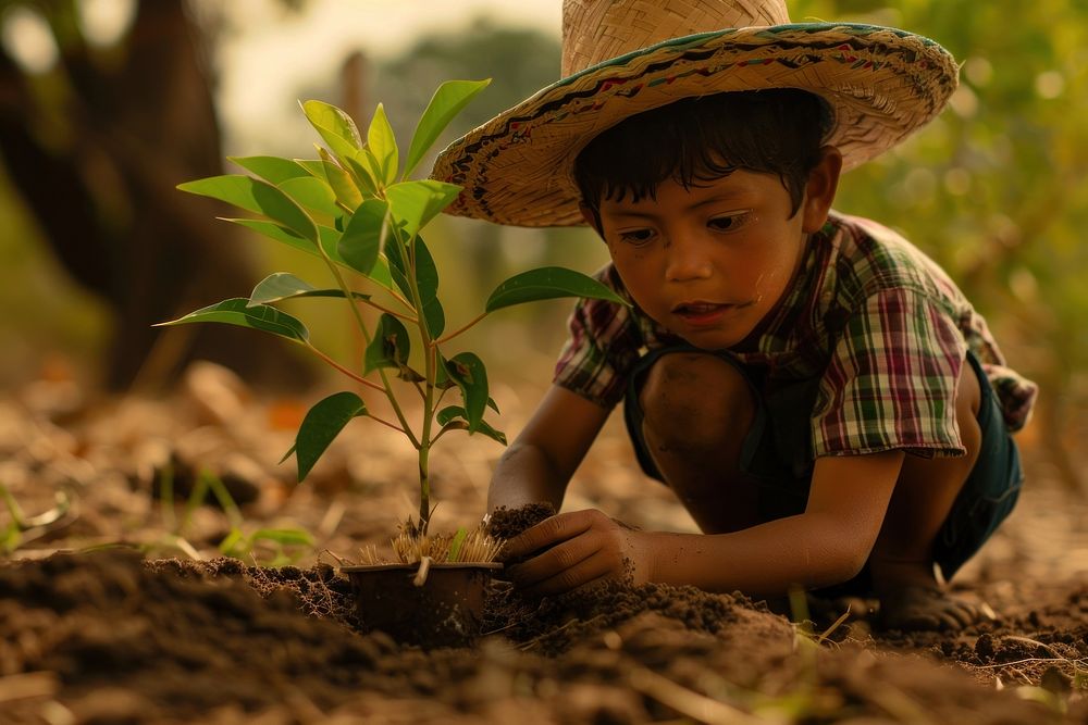 Mexican little kid plant gardening outdoors.