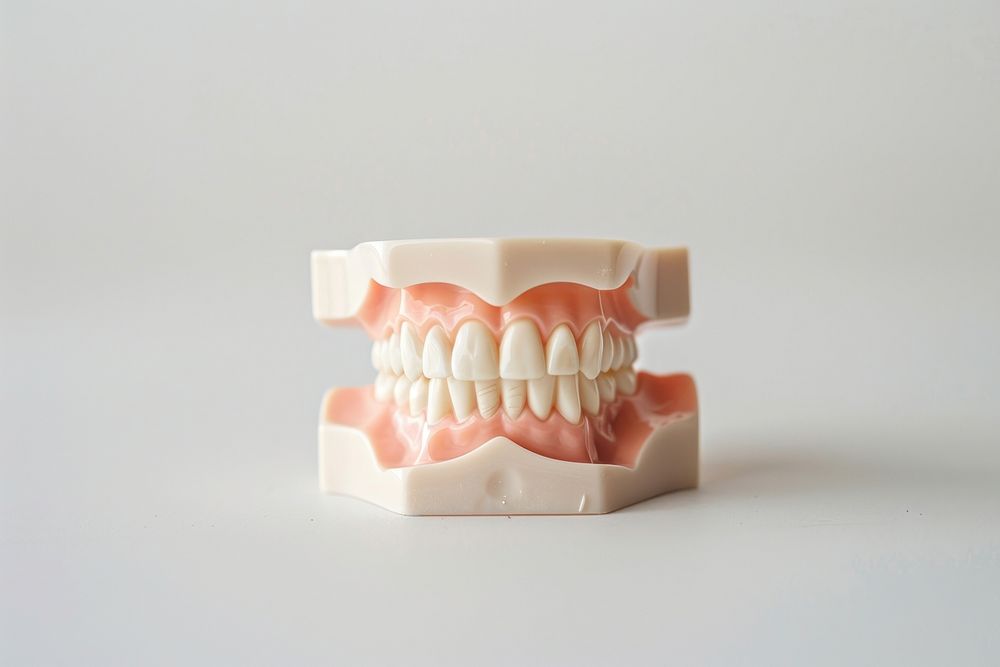Plastic human teeth models dessert wedding person.