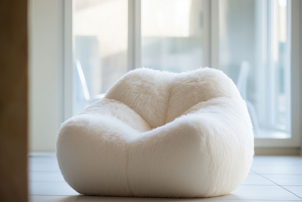 Fluffy bean bag chair furniture cushion pillow.