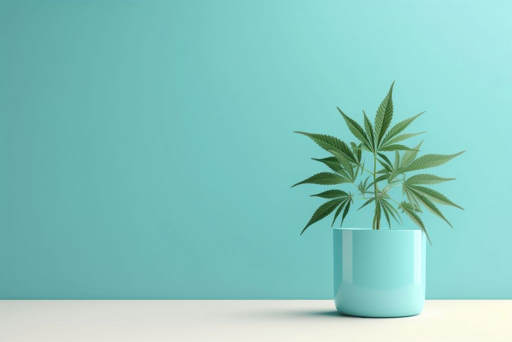 Marijuana pottery planter vase.