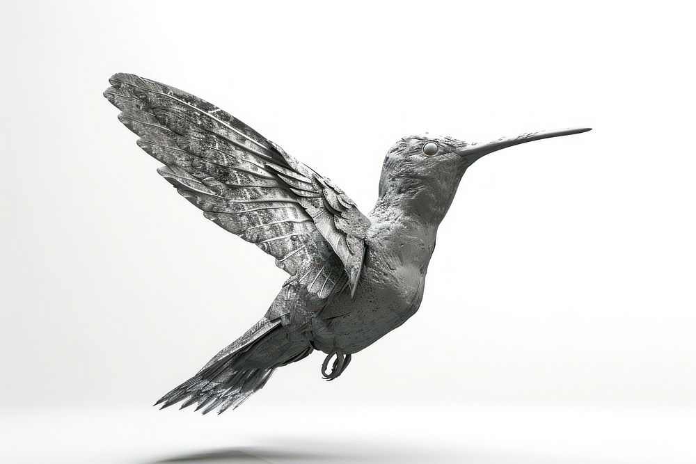 Hummingbird animal flying.