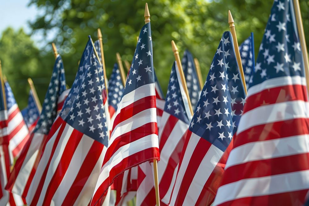 Large group of American Flags flag american flag.