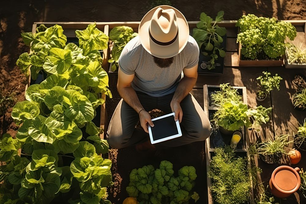 Vegetable plot in his backyard checking quality by tablet electronics accessories gardening.