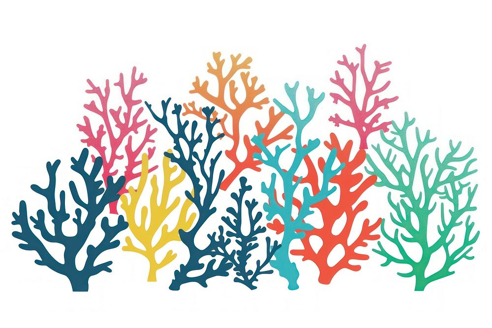 Coral outdoors pattern animal.