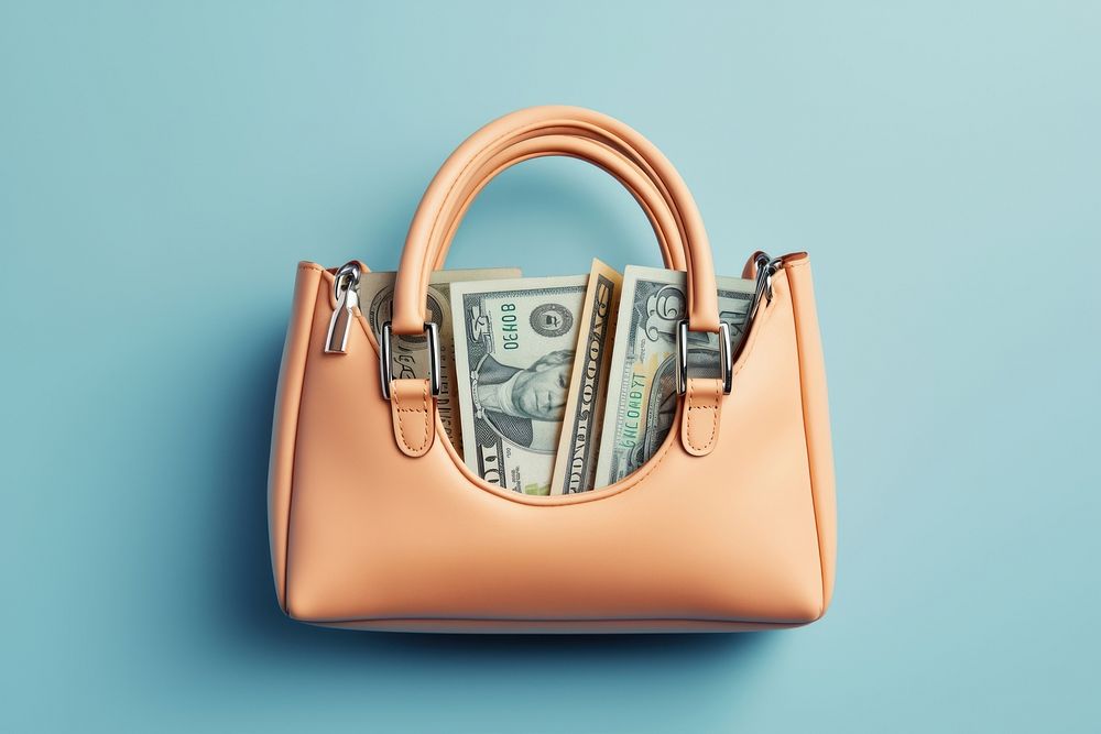 Money bag with dollar icon accessories accessory handbag.