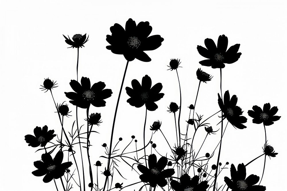 Daisy flowers silhouette daisy art.