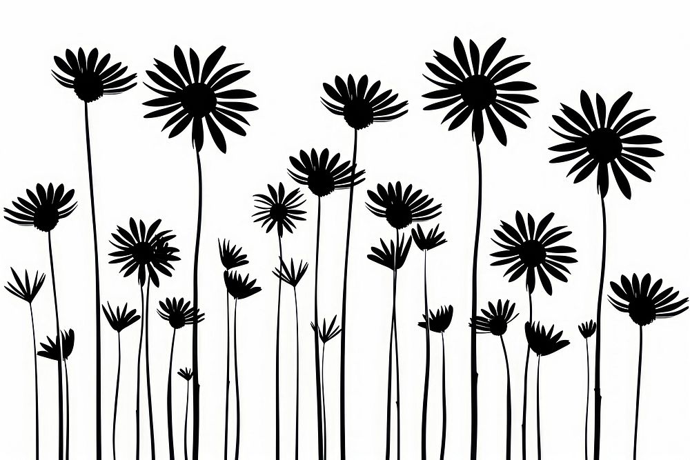Daisy flowers silhouette daisy art.