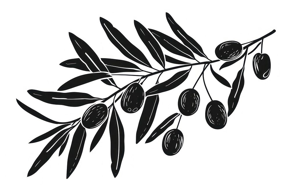 Olive art illustrated stencil.