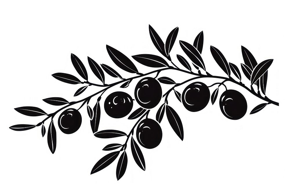 Olive art blueberry graphics.
