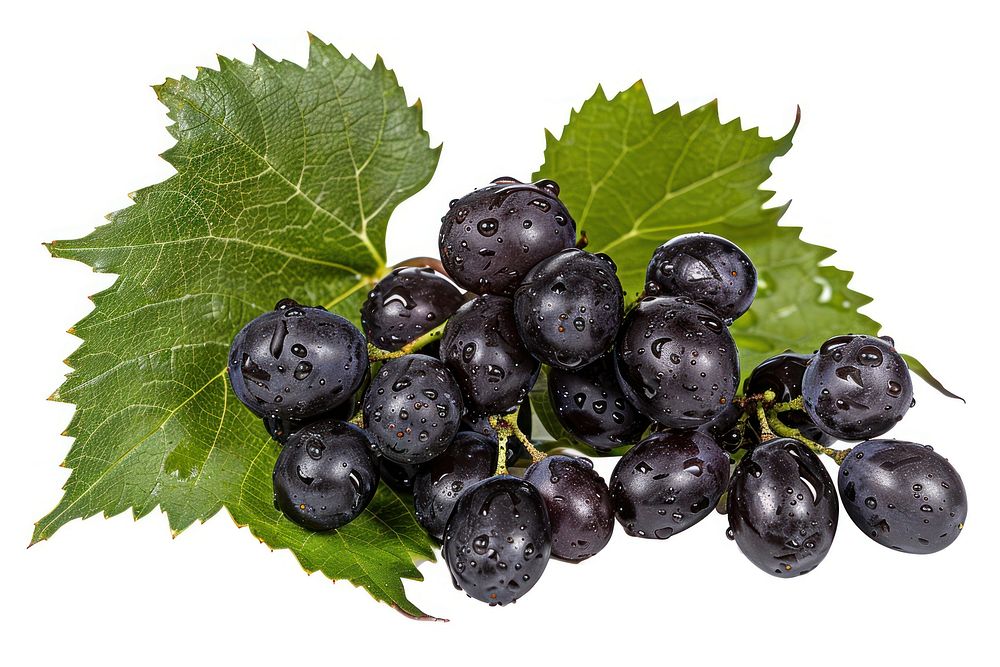 Black grapes chandelier ammunition blueberry.