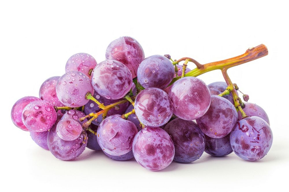Purple grapes produce fruit plant.