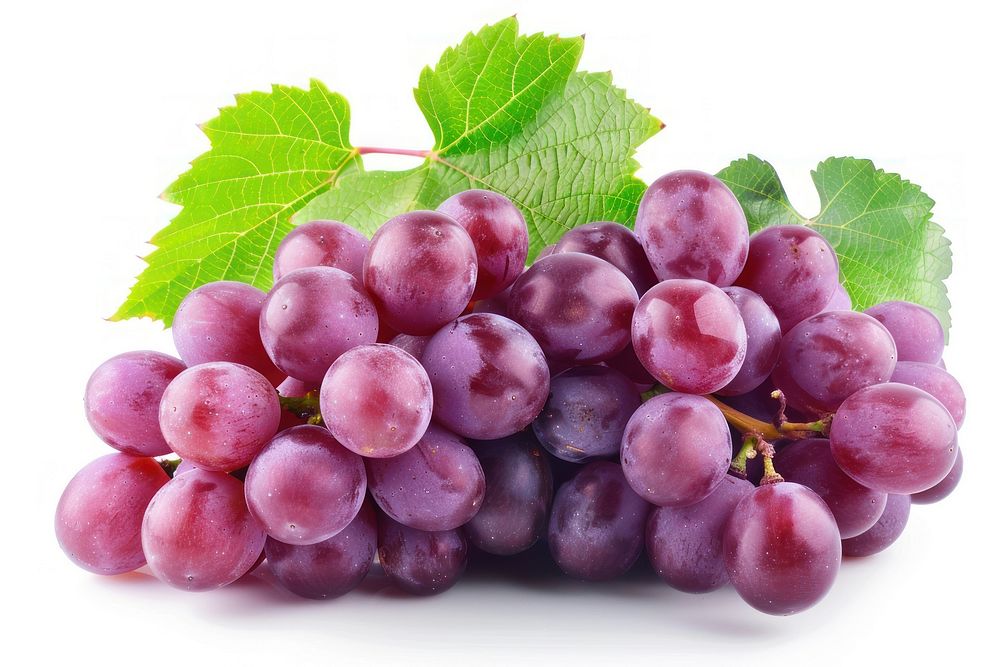 Red grapes produce fruit plant.