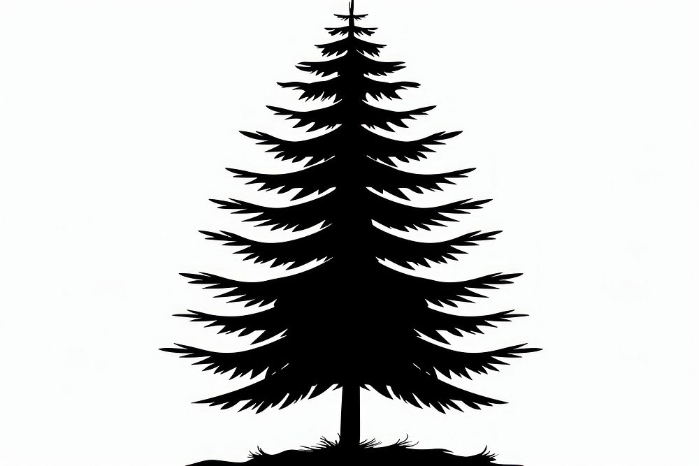 Pine tree silhouette stencil plant.
