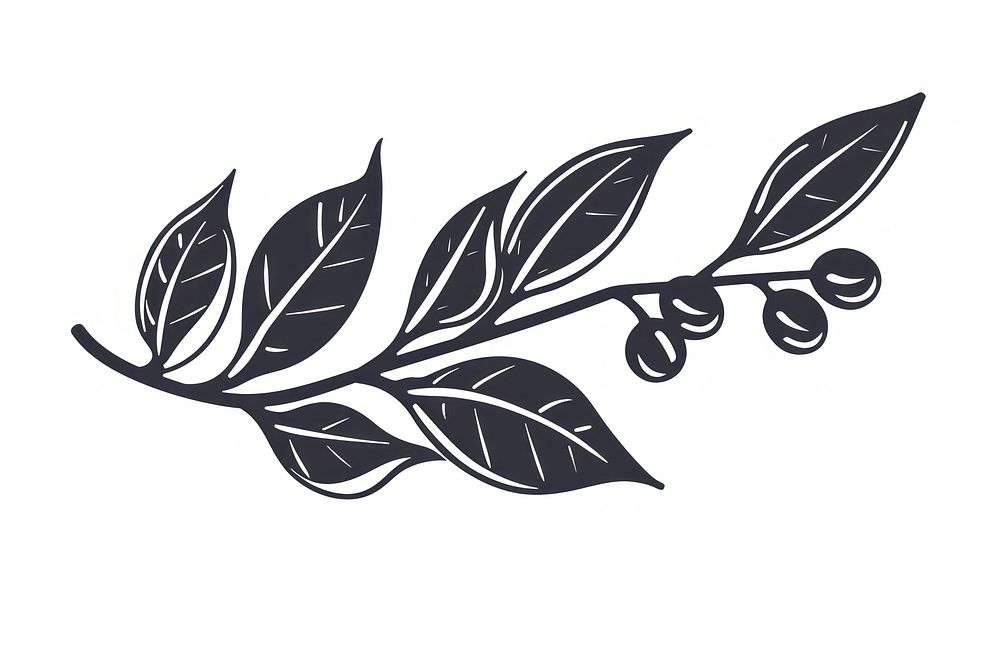 Coffee branch icon plant graphics stencil.