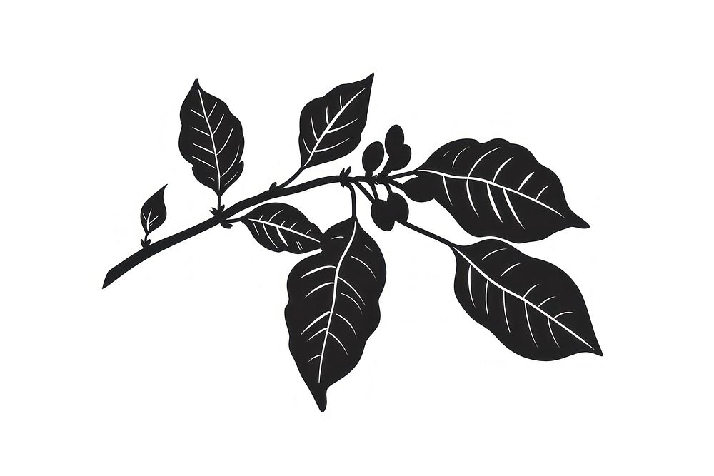 Coffee branch icon plant illustrated silhouette.
