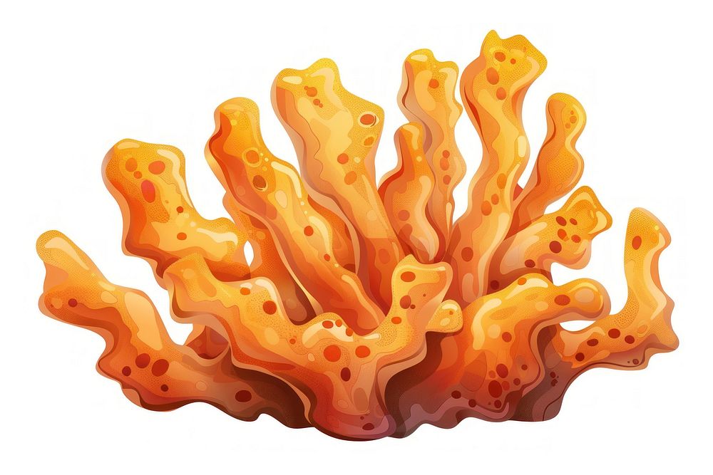 Crispy Crusted Coral invertebrate animal sponge animal.